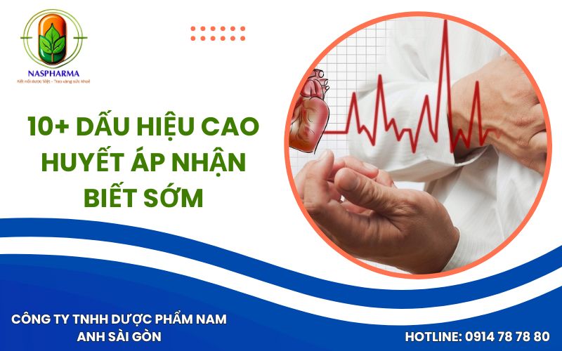 10+ Dấu Hiệu Cao Huyết Áp Nhận Biết Sớm