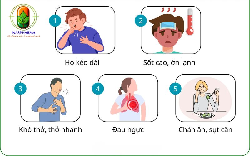 Các Triệu Chứng Viêm Phổi Thường Gặp