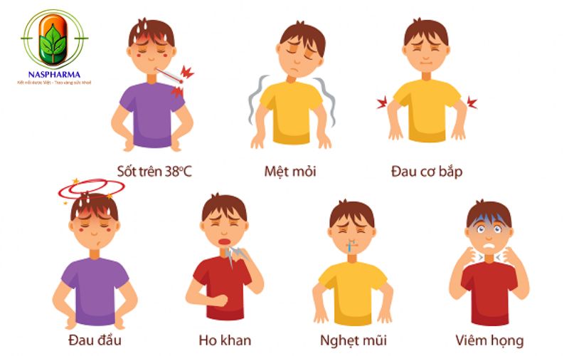 Các Triệu Chứng Cảm Cúm Thường Gặp